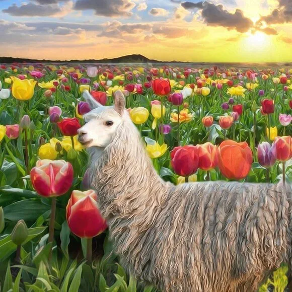 16x20 Suri Alpaca Field of Flowers Sky Landscape Fantasy Oil Painting‎ Art Print - Picture 2 of 7